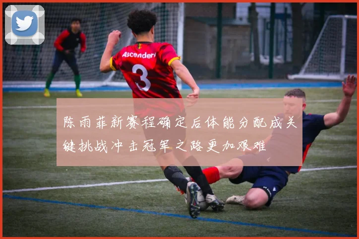 陈雨菲新赛程确定后体能分配成关键挑战冲击冠军之路更加艰难