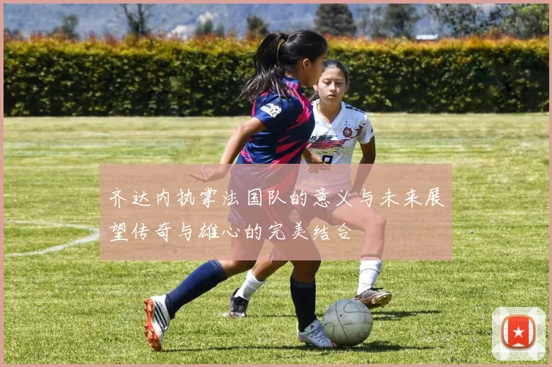 齐达内执掌法国队的意义与未来展望传奇与雄心的完美结合