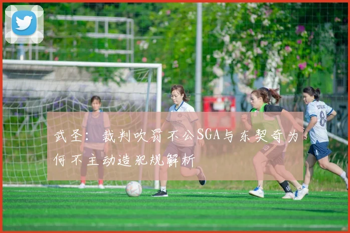 武圣：裁判吹罚不公SGA与东契奇为何不主动造犯规解析