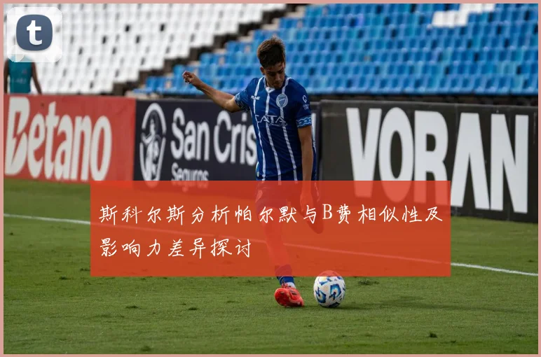 斯科尔斯分析帕尔默与B费相似性及影响力差异探讨