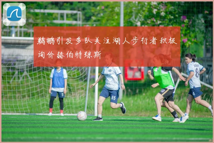 鹈鹕引发多队关注湖人步行者积极询价赫伯特琼斯